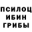Псилоцибиновые грибы MAGIC MUSHROOMS Juggernaut7